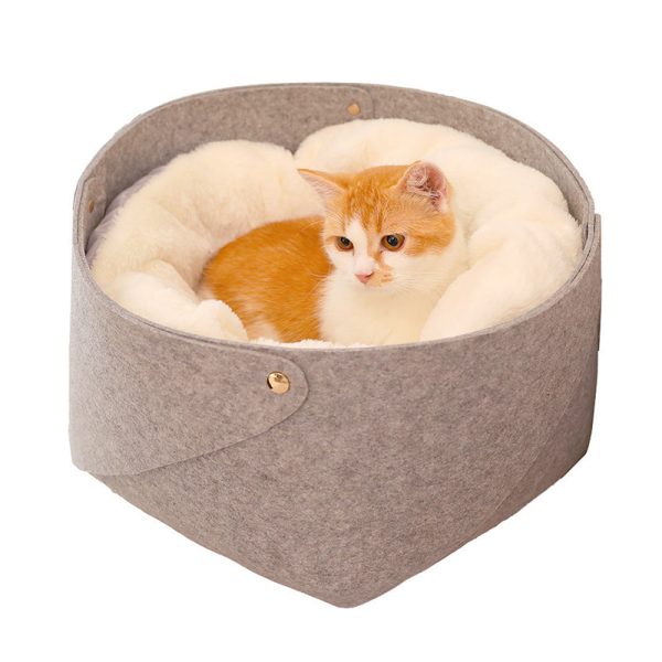 cat-litter-1-12034142