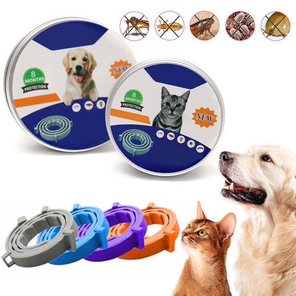 flea-proof-insect-repellent-collar-12034058