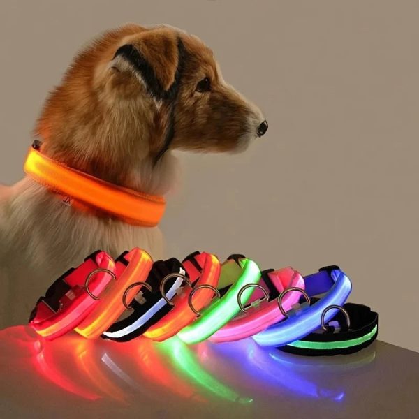 pet-guardian-glowsafe-pet-collar-12033168