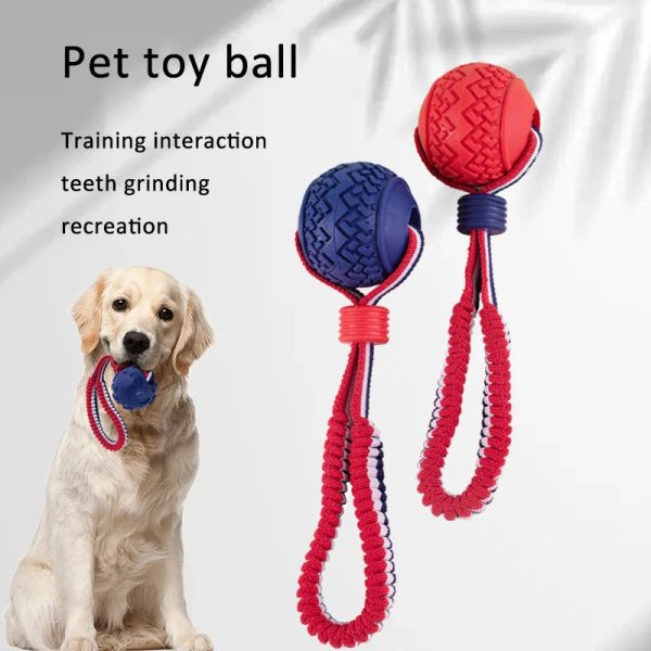 interactive-dog-toy-ball-with-rope-12034117