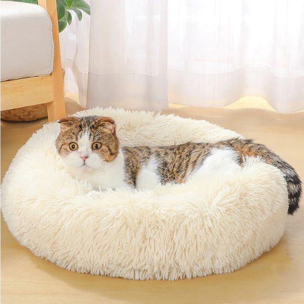 super-soft-washable-plush-dog-bed-12034097