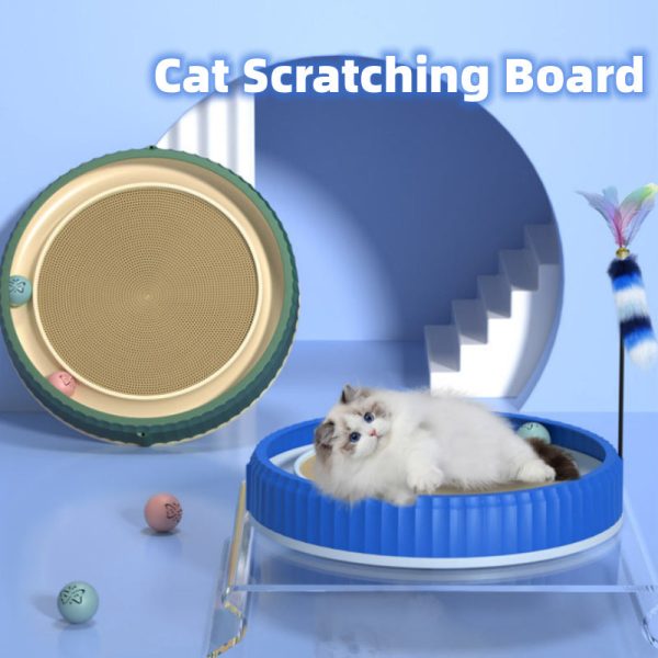 round-cat-scratching-board-12034075