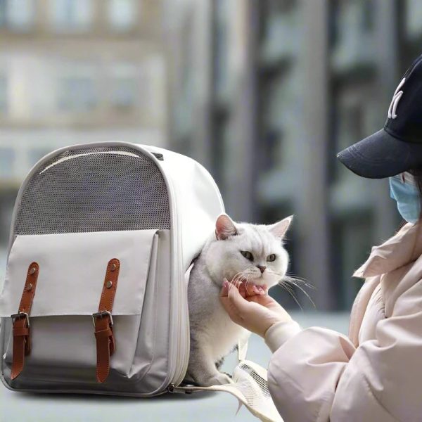 petpie-quest-backpack-12033776